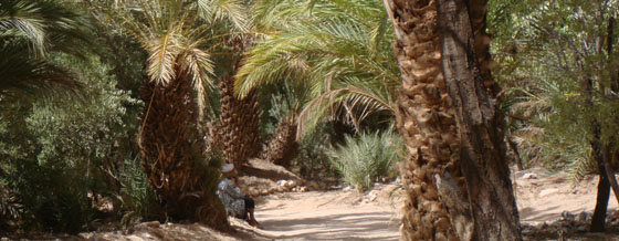 Anti-Atlas et Ocan