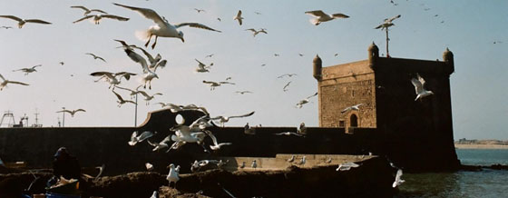 Tout le Maroc (grand tour du Maroc)