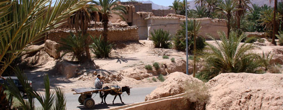 Le Sud marocain - Secrets du Désert