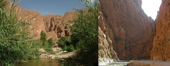 D�sert et M�dinas