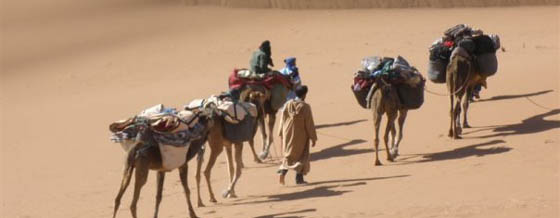 Sud Marocain